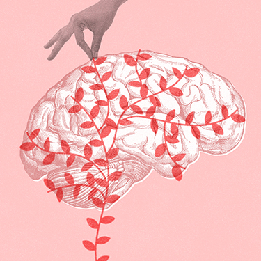 Illustration of a brain by Edmon de Haro.