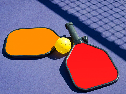 Pickle ball paddles.