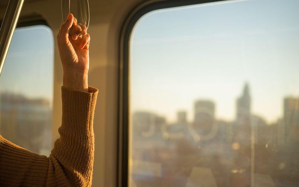 Health Forecast: Handy Guide to Holiday Health teaser image